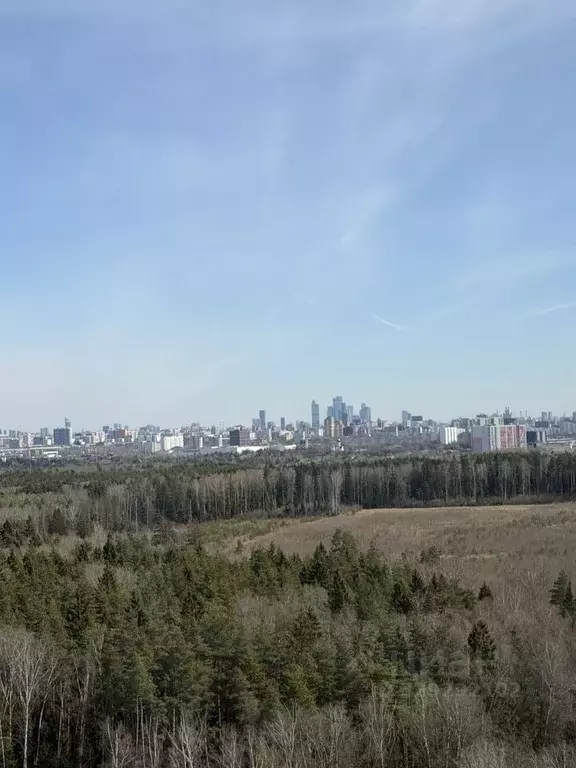 2-к кв. Московская область, Одинцово ул. Кутузовская, 31 (66.0 м) - Фото 1