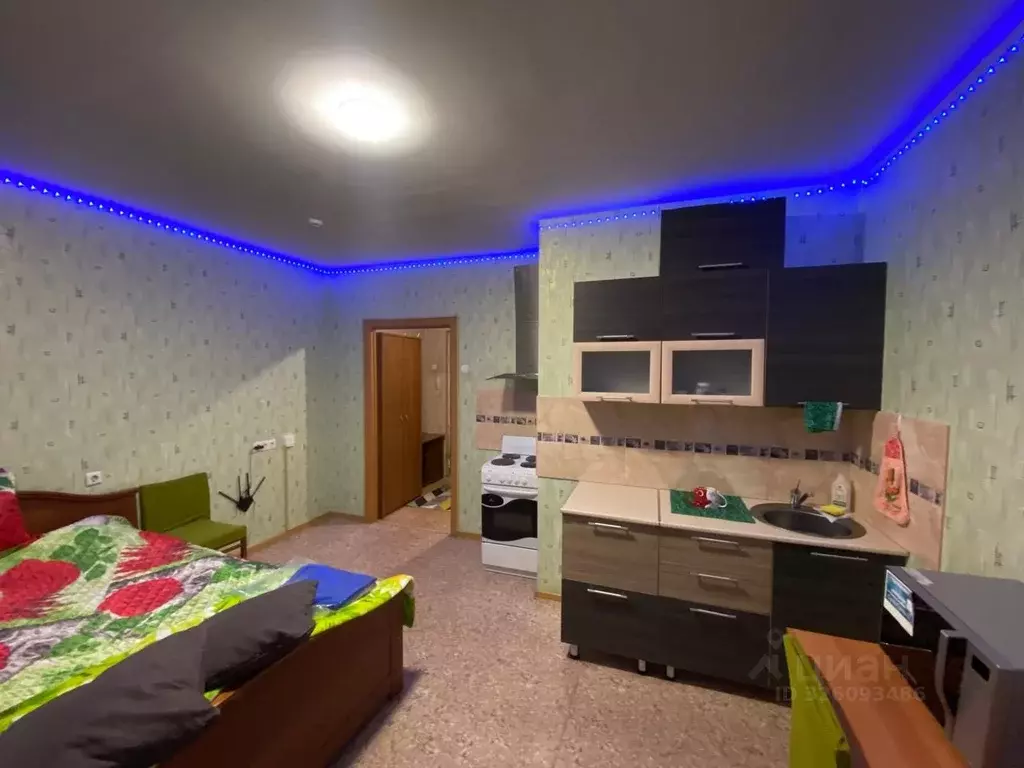 Студия Красноярский край, Красноярск ул. Петра Подзолкова, 5А (23.7 м) - Фото 1