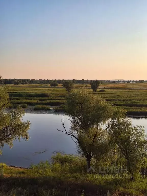 Участок в Саратовская область, Энгельсский район, Красноярское ... - Фото 0