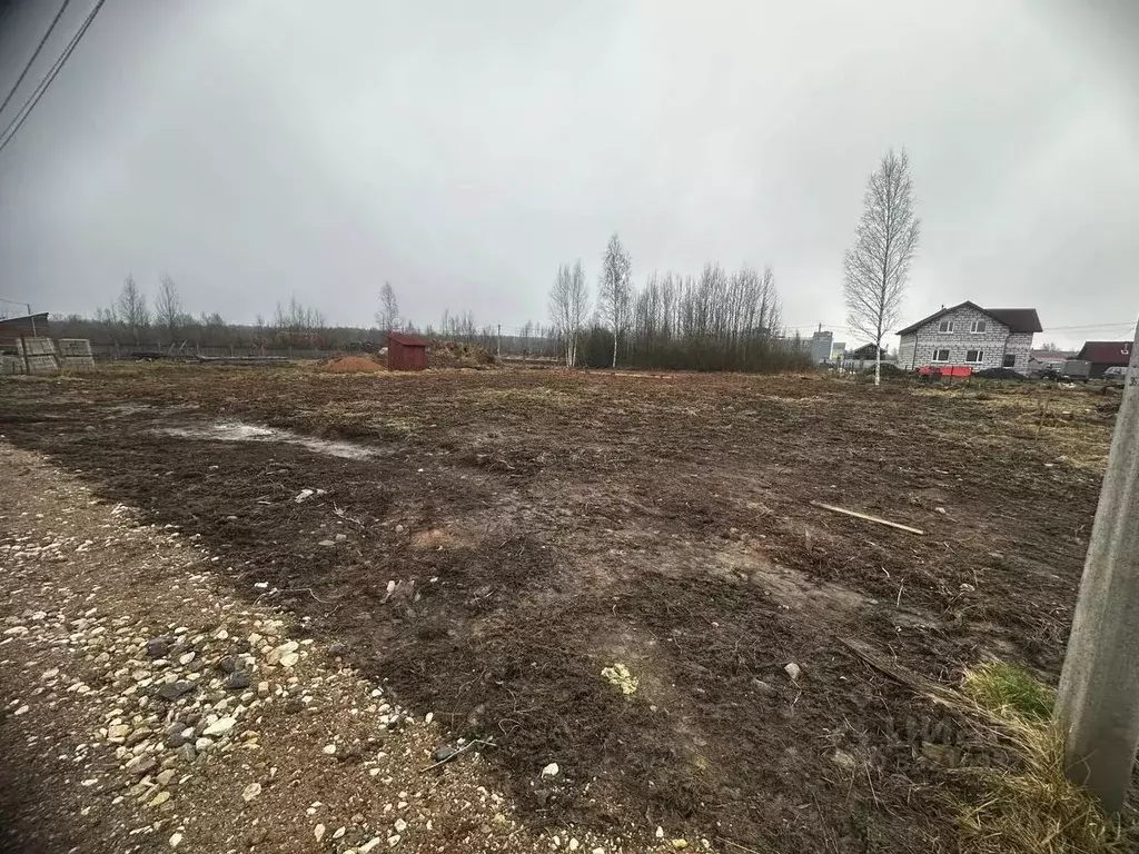 Участок в Новгородская область, Малая Вишера ул. Березовая Аллея (11.0 ... - Фото 1