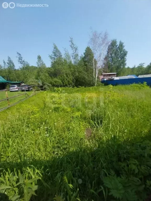 Участок в Новосибирск, СНТ Бытовик, Дачная улица (5 м) - Фото 1