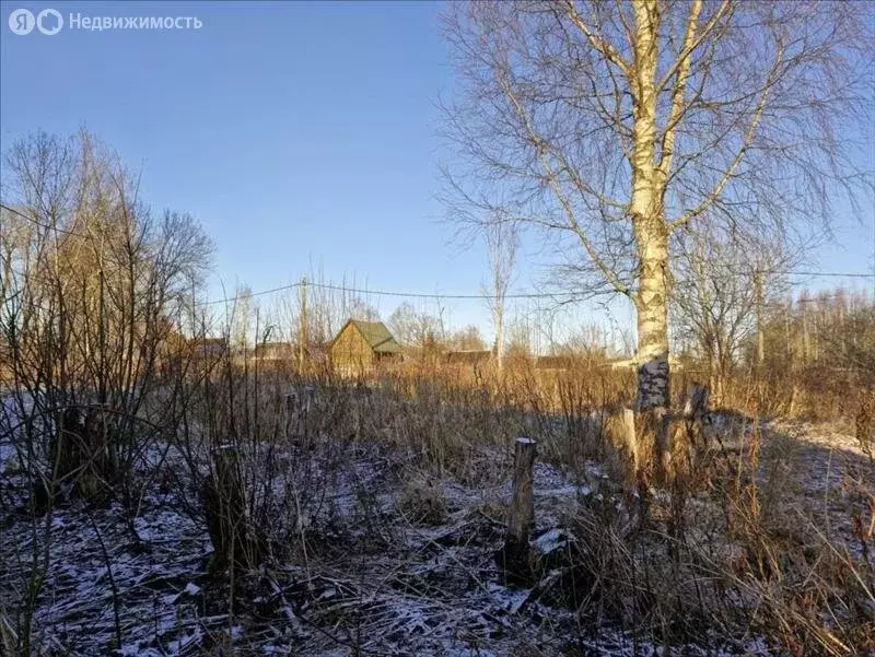 Участок в Ленинградская область, Гатчинский муниципальный округ, ... - Фото 1