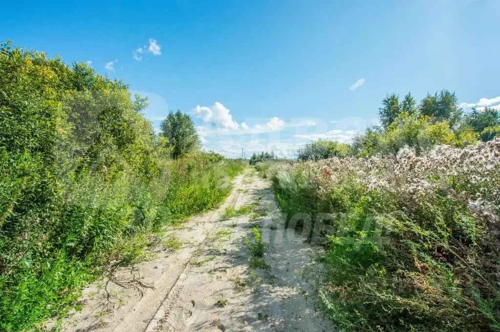Участок в Тюменская область, Нижнетавдинский муниципальный округ, ... - Фото 2
