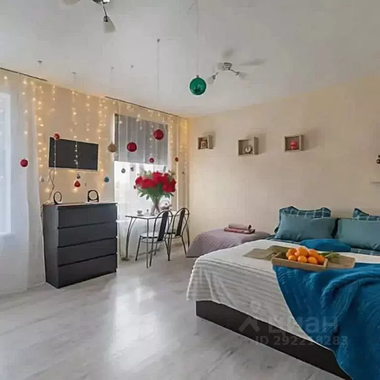 Студия Ленинградская область, Гатчина ул. Чехова, 43к1 (26.0 м) - Фото 1