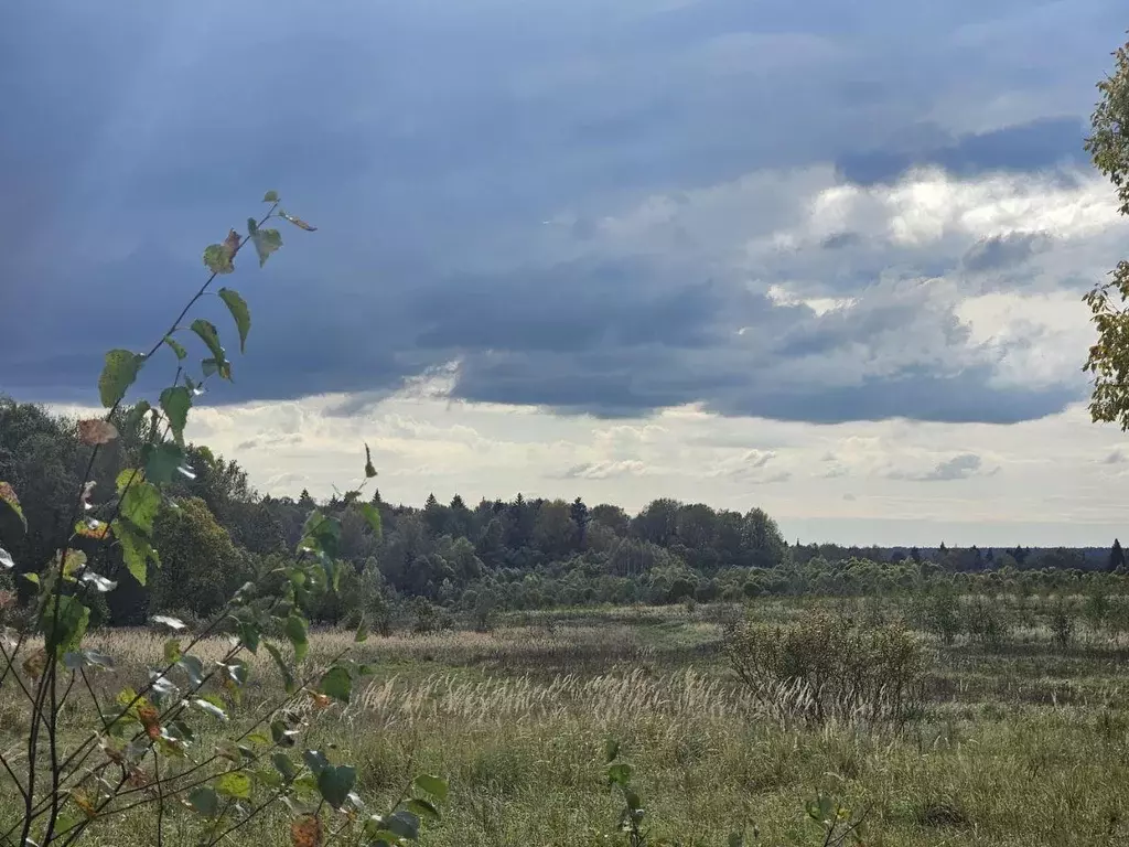 Участок, 10 сот., сельхоз (снт или днп) - Фото 1