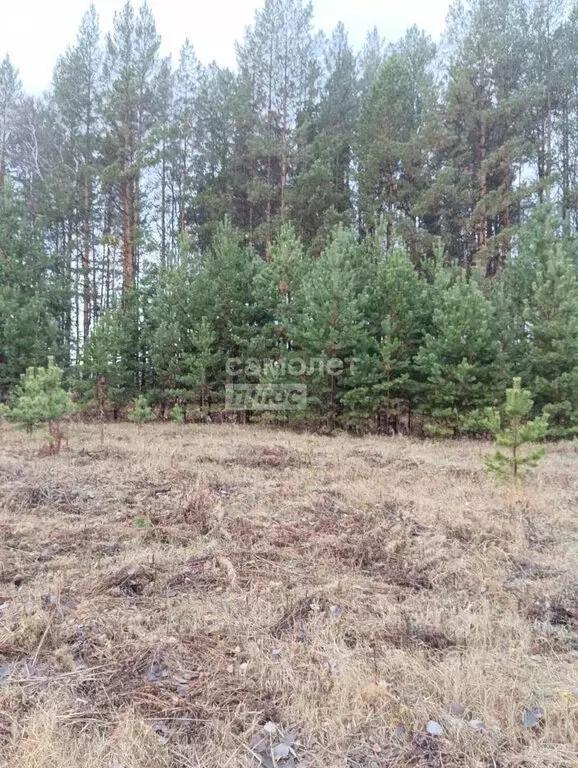 Участок в Нижнетавдинский район, село Тюнево (8.5 м) - Фото 1