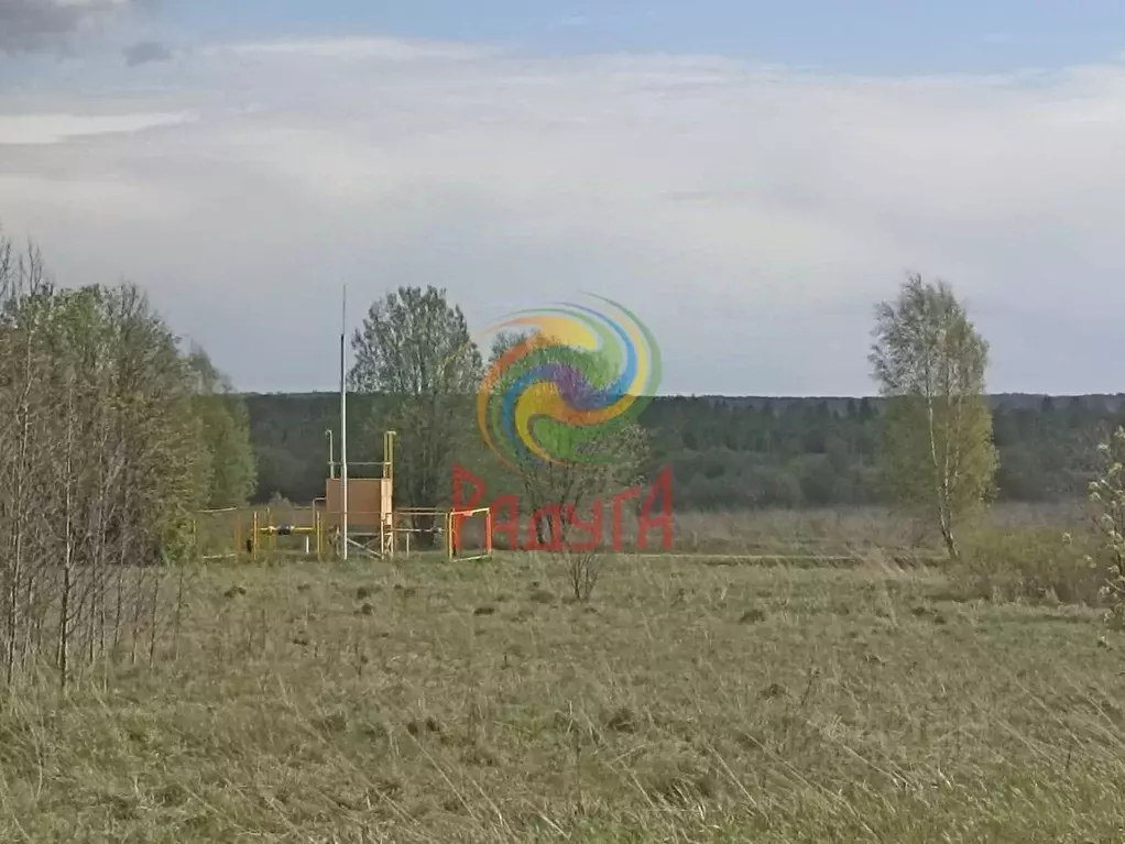 Участок в Ивановская область, Комсомольский район, Писцовское с/пос, ... - Фото 1