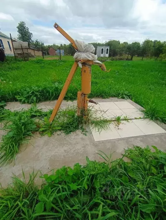 Дом в Воронежская область, Новоусманский район, с. Хреновое ул. ... - Фото 2
