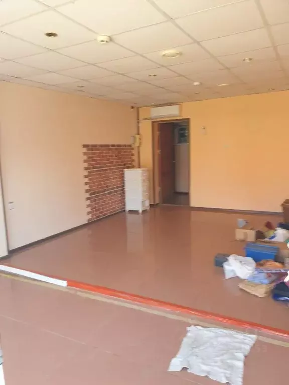 Помещение свободного назначения в Краснодарский край, Сочи Сухумское ... - Фото 2