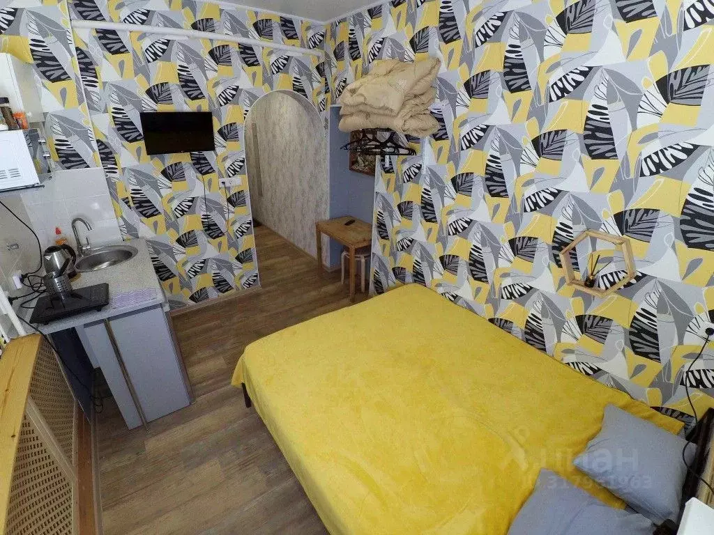 1-к кв. Татарстан, Казань Ипподромная ул., 29 (17.0 м) - Фото 1