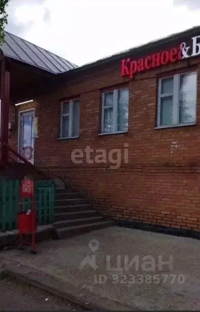 Помещение свободного назначения в Башкортостан, Уфа ул. Ленина, 31/33 ... - Фото 0