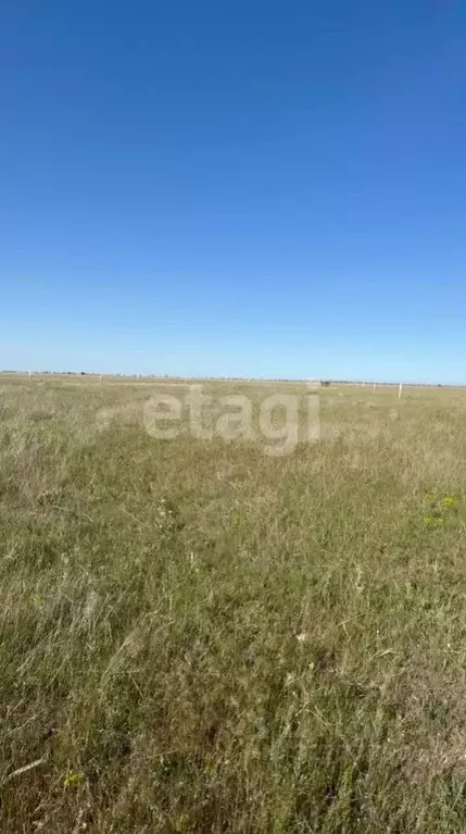 Участок в Крым, Сакский район, Молочненское с/пос, с. Витино  (6.0 ... - Фото 0