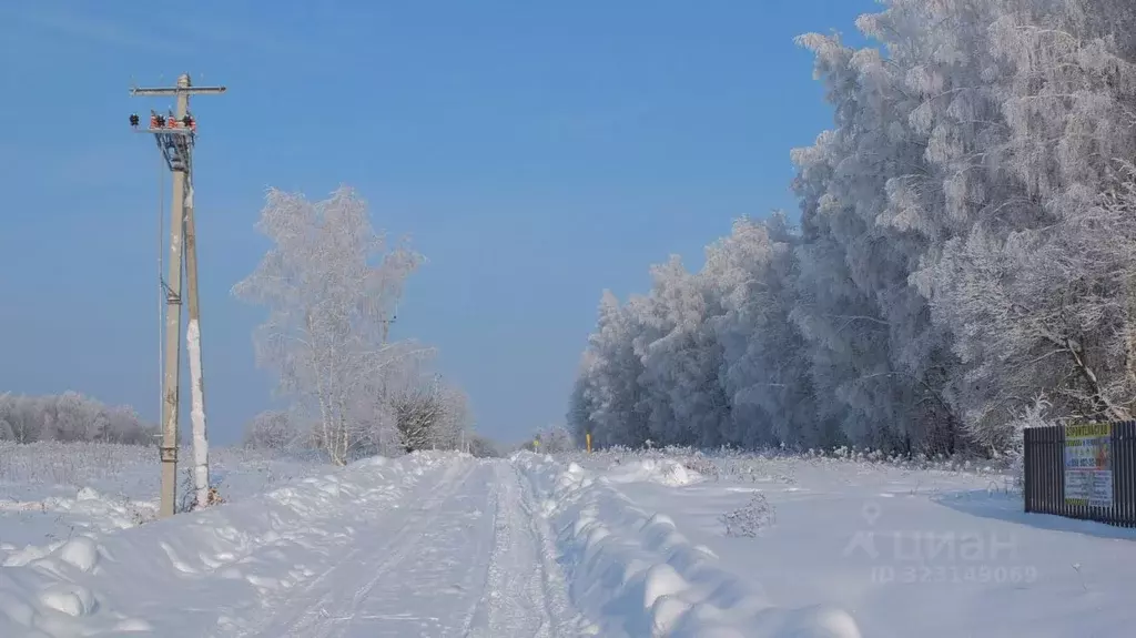 Участок в Тульская область, Веневский муниципальный округ, Сосновка ... - Фото 2