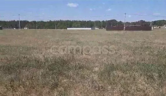 Участок в Тюменская область, Тюменский район, д. Криводанова  (15.0 ... - Фото 0