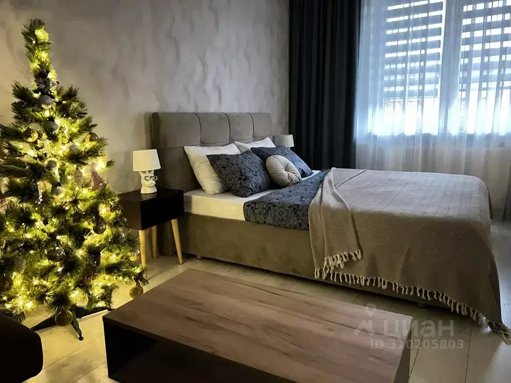 1-к кв. Калининградская область, Калининград Пехотная ул., 8 (39.0 м) - Фото 1