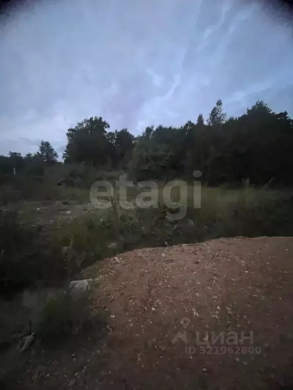 Участок в Амурская область, Благовещенский район, с. Чигири  (8.0 ... - Фото 1