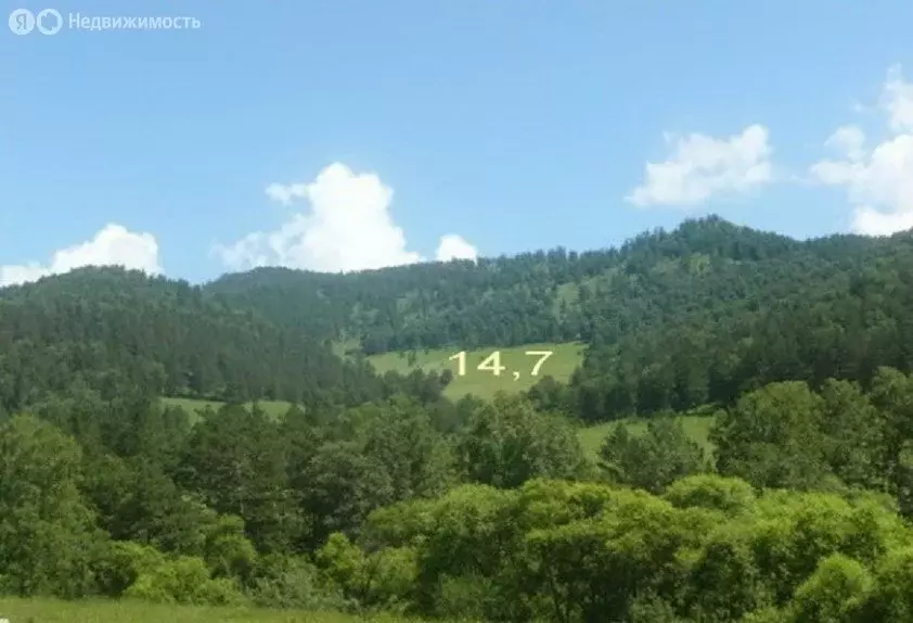 Участок в Онгудайский район, Купчегенское сельское поселение (1470 м) - Фото 2