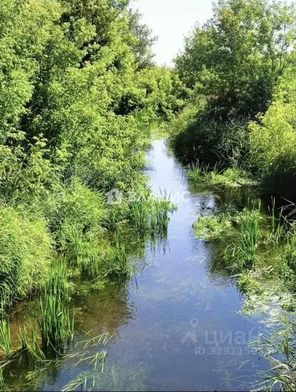 Участок в Нижегородская область, Богородский муниципальный округ, д. ... - Фото 2