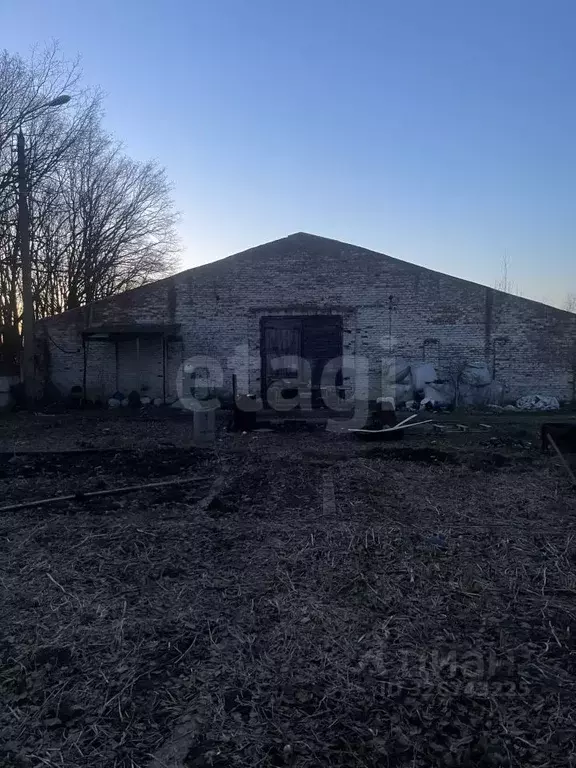 Склад в Тульская область, Алексин городской округ, д. Борисово  (1786 ... - Фото 1