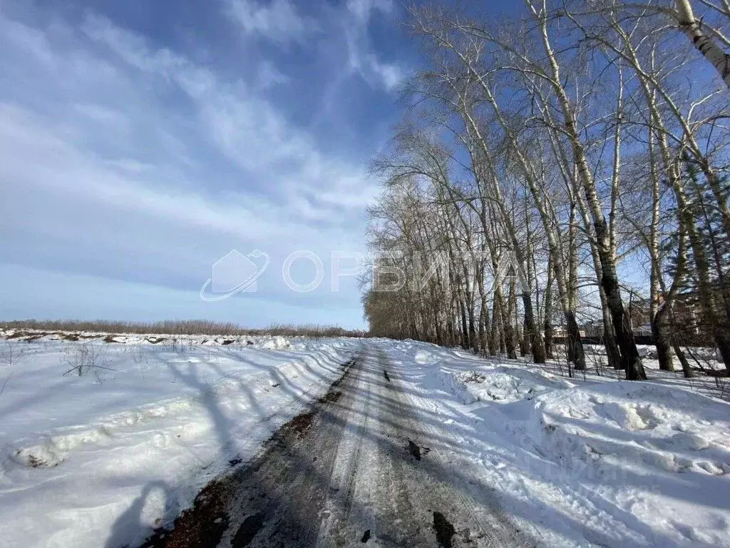 Участок в Тюменская область, Тюменский район, с. Луговое Плодовая ул. ... - Фото 1