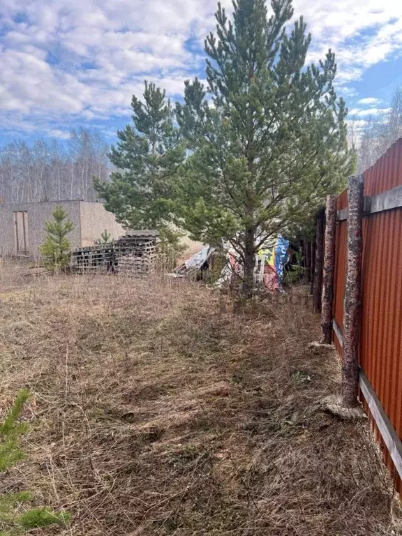 Участок в Челябинская область, Аргаяшский муниципальный округ, пос. ... - Фото 2