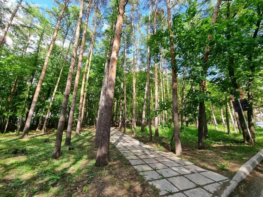 1-комнатная квартира: Уфа, улица Менделеева, 152/3 (37 м) - Фото 1