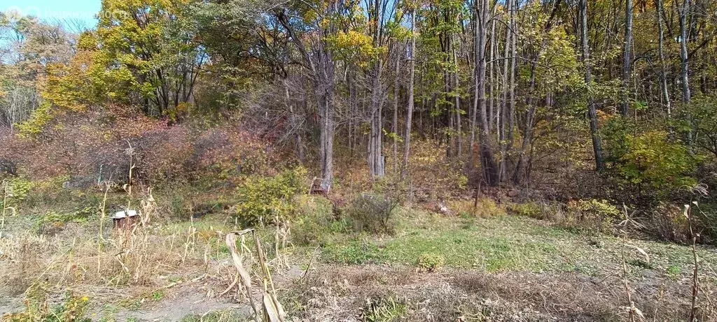 Участок в Арсеньев, СНТ Ягодка-1 (8.8 м) - Фото 2