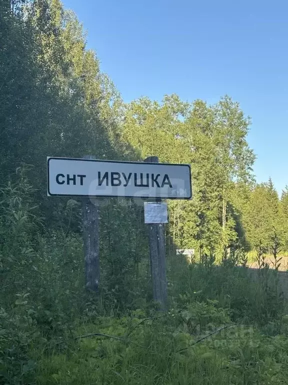 Участок в Архангельская область, Приморский муниципальный округ, ... - Фото 1