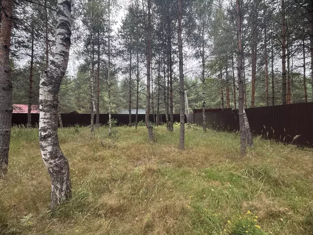 Участок в Владимирская область, Киржачский муниципальный округ, д. ... - Фото 1