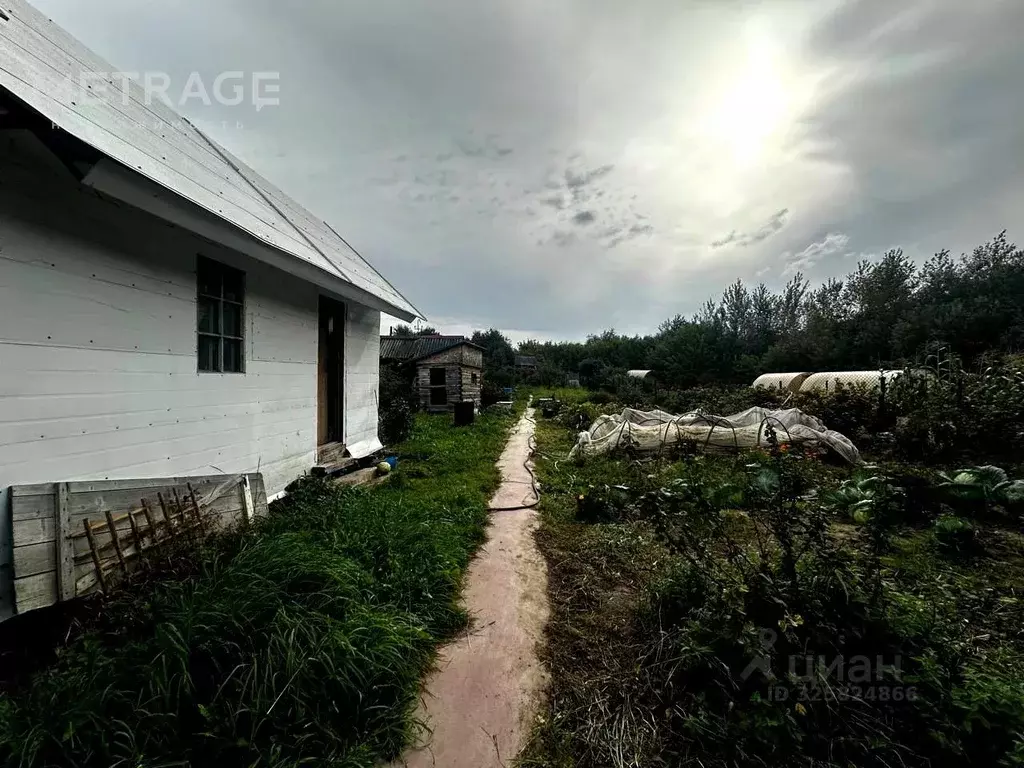 Участок в Новосибирская область, Новосибирск Ложок садовое ... - Фото 2