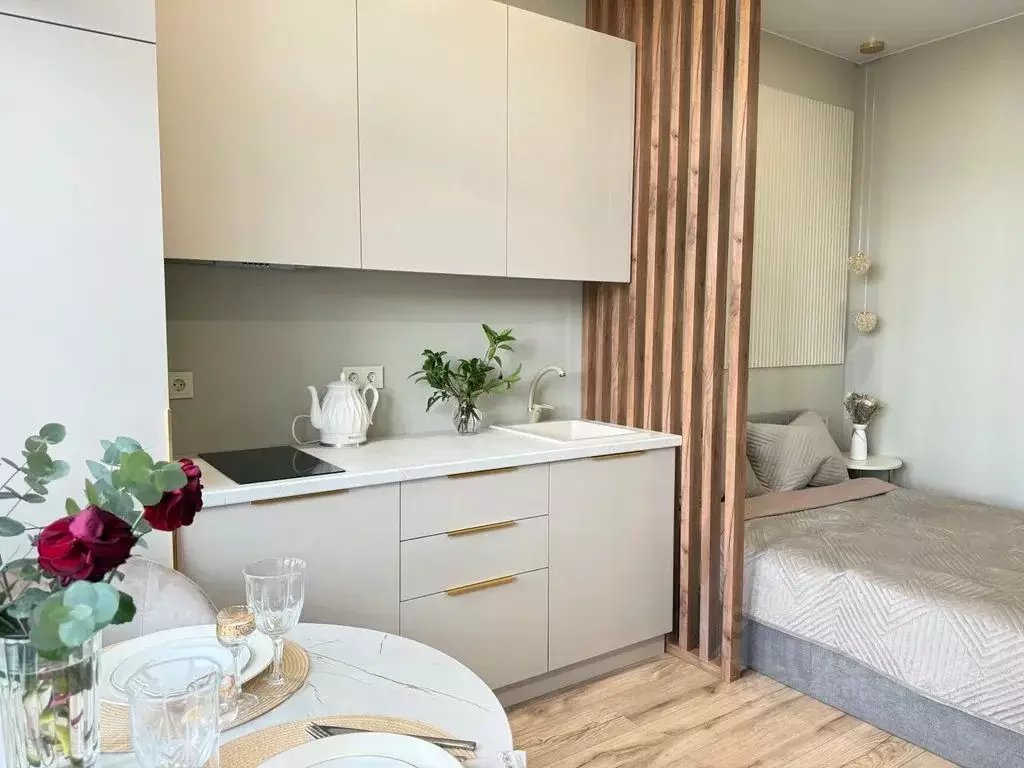 Студия Краснодарский край, Сочи ул. Ленина, 290/7к8 (30.0 м) - Фото 1