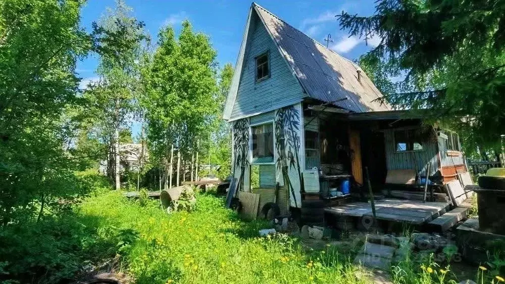 Дом в Архангельская область, Приморский муниципальный округ, Ягодник ... - Фото 1