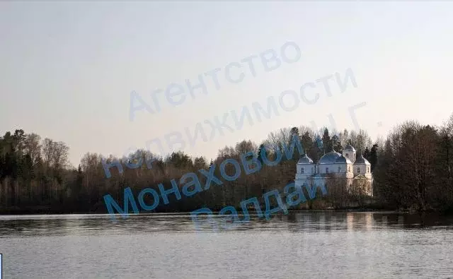 Участок в Новгородская область, Валдайский район, д. Большое Городно  ... - Фото 1