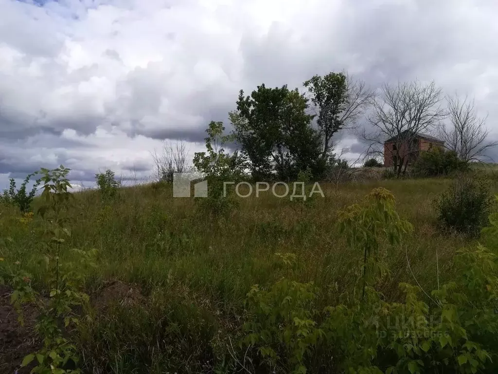 Участок в Алтайский край, Барнаул городской округ, Поселок Казенная ... - Фото 1