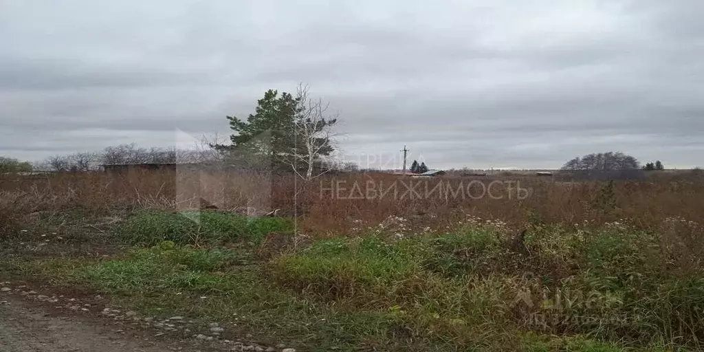 Участок в Свердловская область, Талицкий муниципальный округ, с. ... - Фото 1