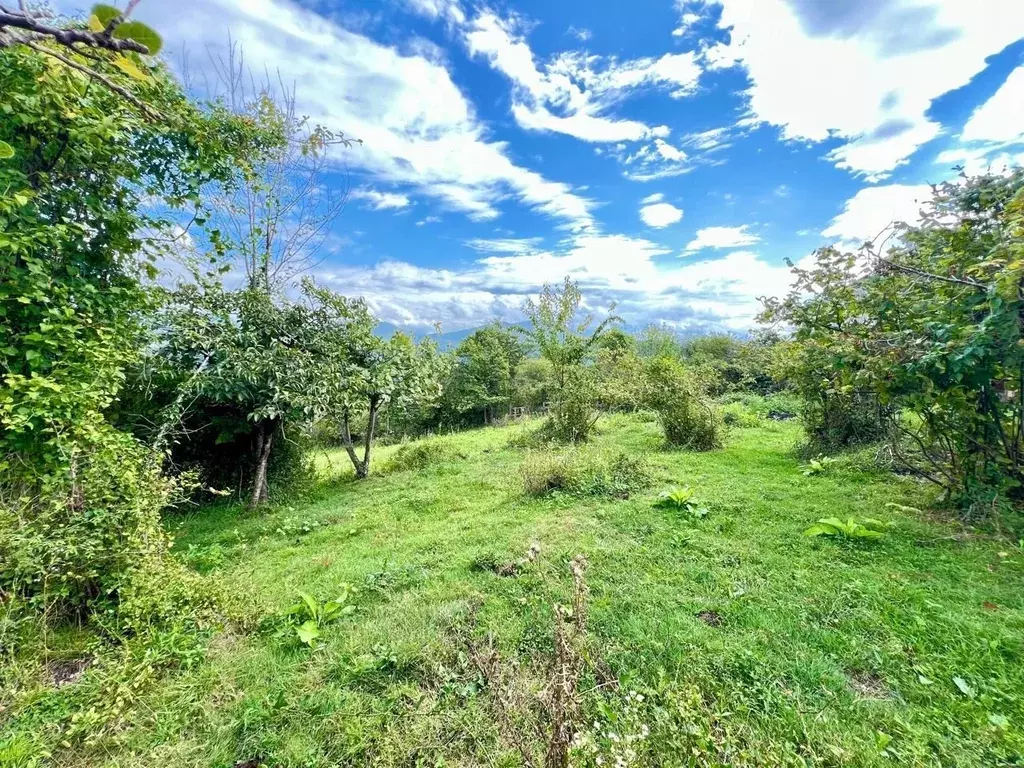 Участок в Краснодарский край, Сочи городской округ, с. Красная Воля ... - Фото 0