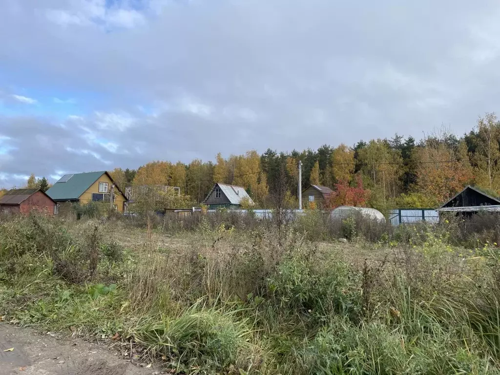 Участок в Ленинградская область, Всеволожский район, Свердловское ... - Фото 0