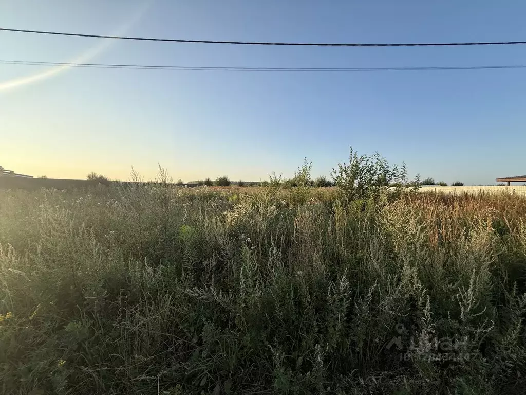 Участок в Владимирская область, Суздальский район, Боголюбовское ... - Фото 0