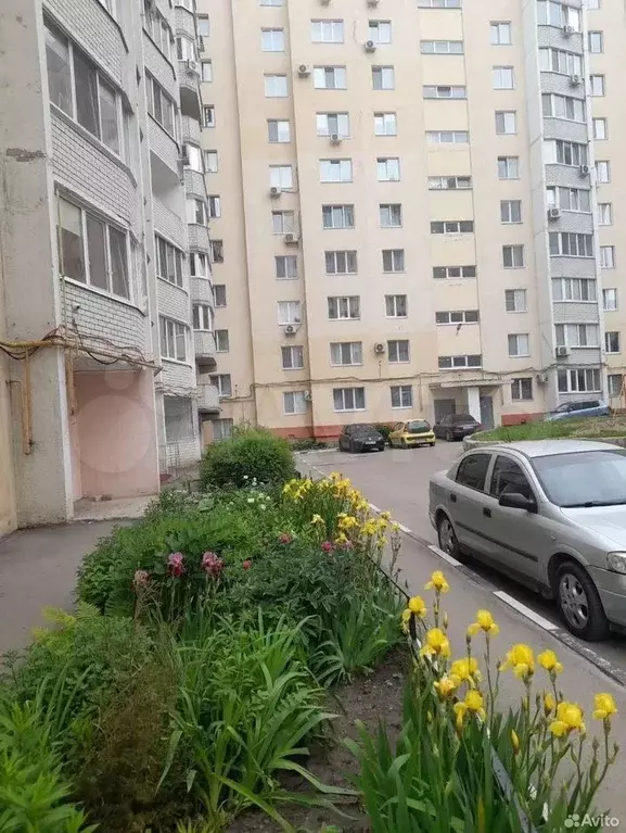 1-к. квартира, 34 м, 9/10 эт. - Фото 0