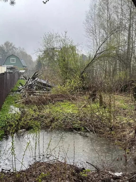 Участок в Московская область, Солнечногорск городской округ, Водолей ... - Фото 2