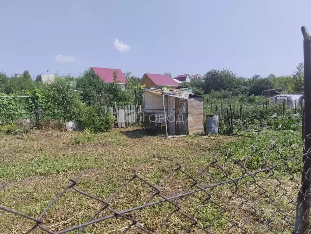 Участок в Алтайский край, Барнаул городской округ, Поселок Казенная ... - Фото 1