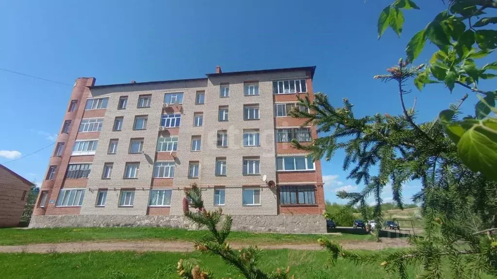 1-к кв. Башкортостан, Давлеканово ул. Карла Маркса, 135 (47.1 м) - Фото 0