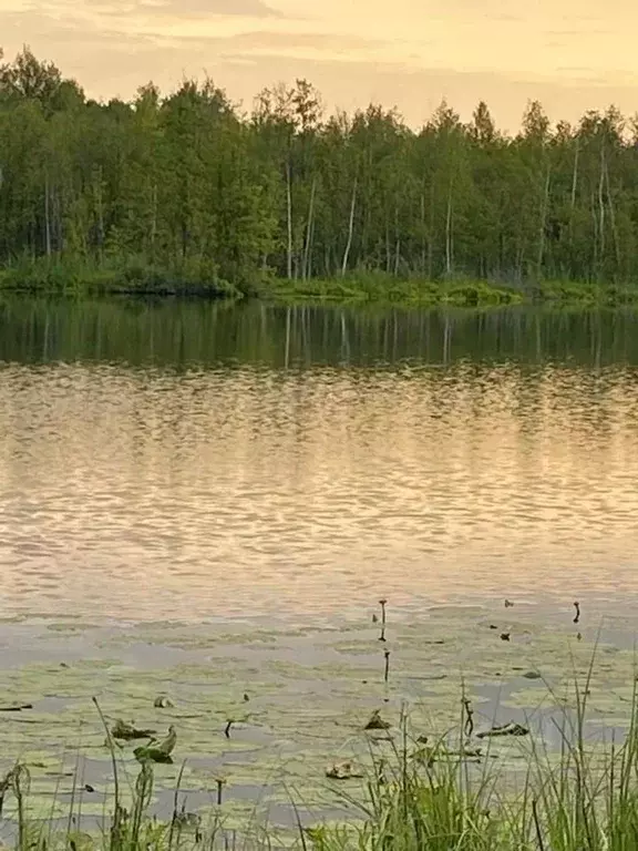 Участок в Марий Эл, Волжский район, Большепаратское с/пос, д. ... - Фото 1