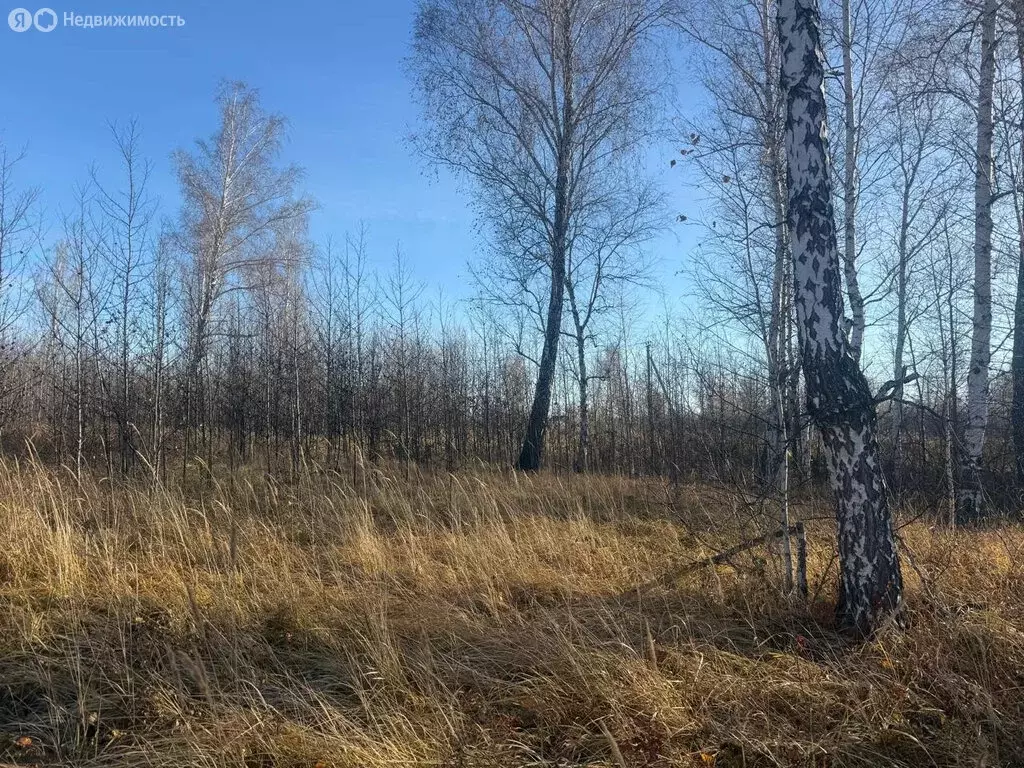Участок в Челябинская область, Красноармейский муниципальный округ, ... - Фото 1
