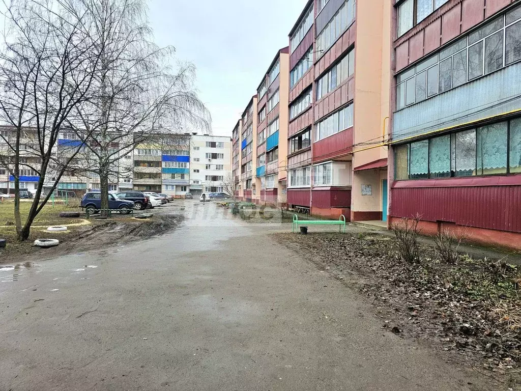 3-к кв. Тамбовская область, Тамбов городской округ, пос. Строитель, ... - Фото 0