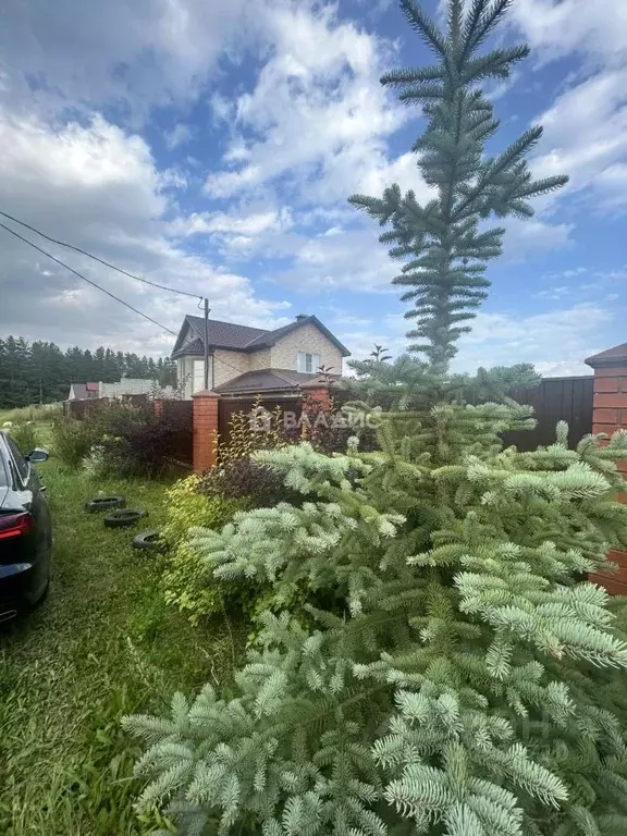 Участок в Нижегородская область, Богородский муниципальный округ, д. ... - Фото 2
