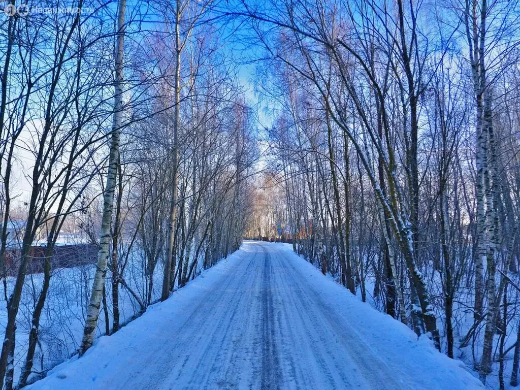 Участок в Московская область, Раменский муниципальный округ, село ... - Фото 1