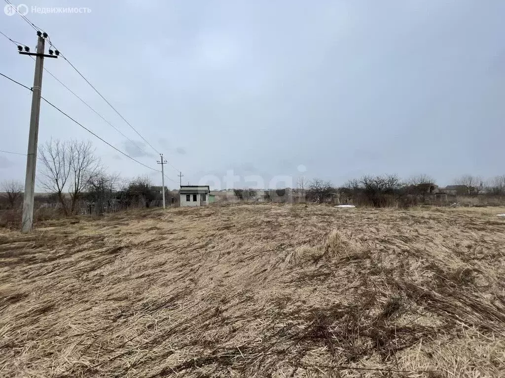 Участок в деревня Добрунь, садоводческое некоммерческое товарищество ... - Фото 2