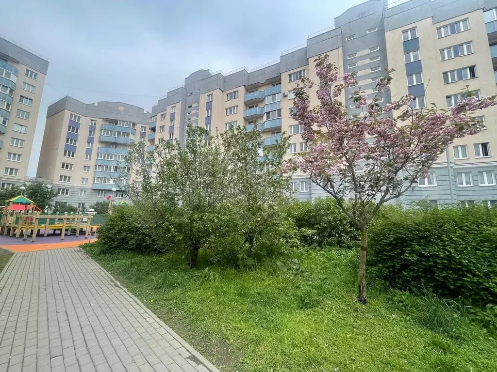 Комната 34 м в 3-к., 6/10 эт. - Фото 0