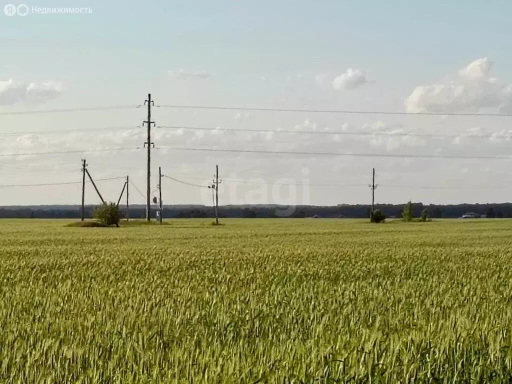 Участок в Ковровский район, муниципальное образование Малыгинское, ... - Фото 1